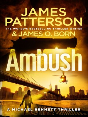 Ambush - ebook